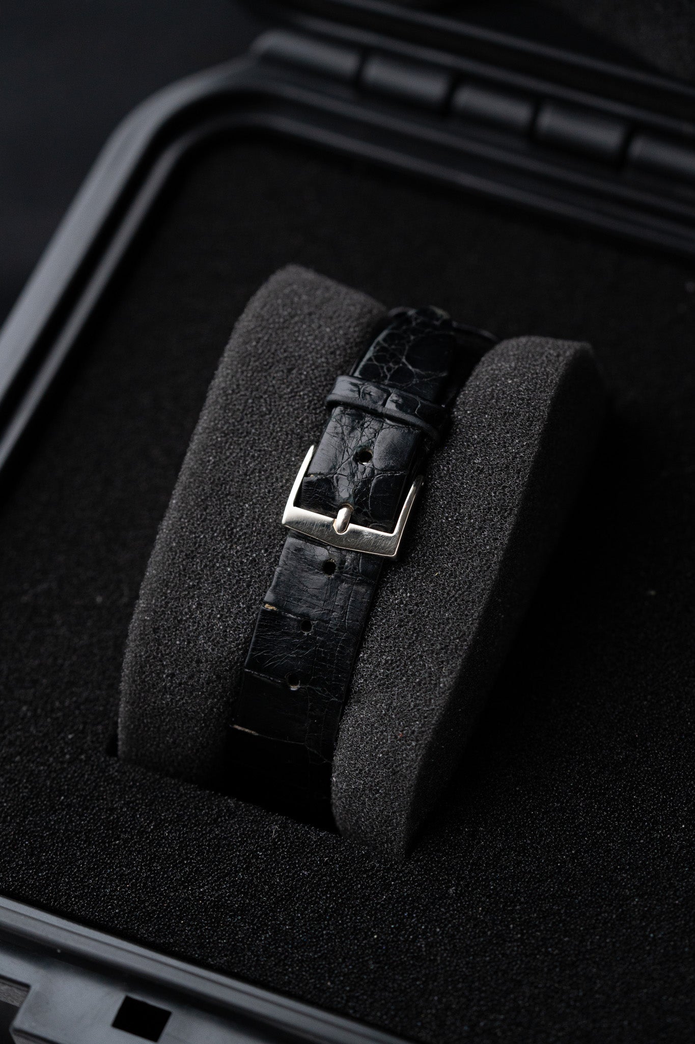 Audemars Piguet TV Screen